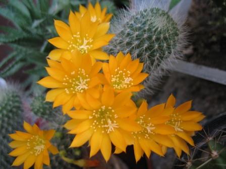 Copy of 2009 039.jpg