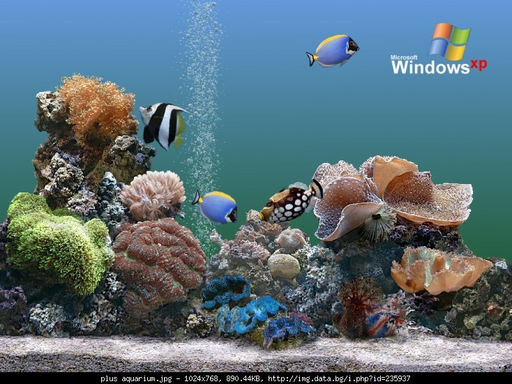 akvarium.jpg